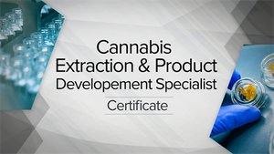 Cannabis Extraction and Product Development Specialist